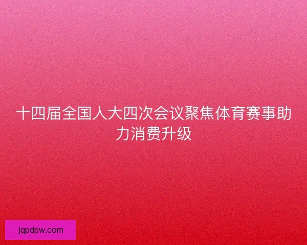 十四届全国人大四次会议聚焦体育赛事助力消费升级